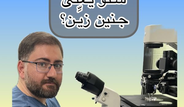 شنو یعنی جنین زین؟